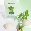 Test Garnier Bio Éponge Konjac : une petite éponge simple qui fait le job sans chichis