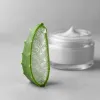 Aloe vera en cosmétique bio : entre mythes tenaces et vrais bénéfices prouvés