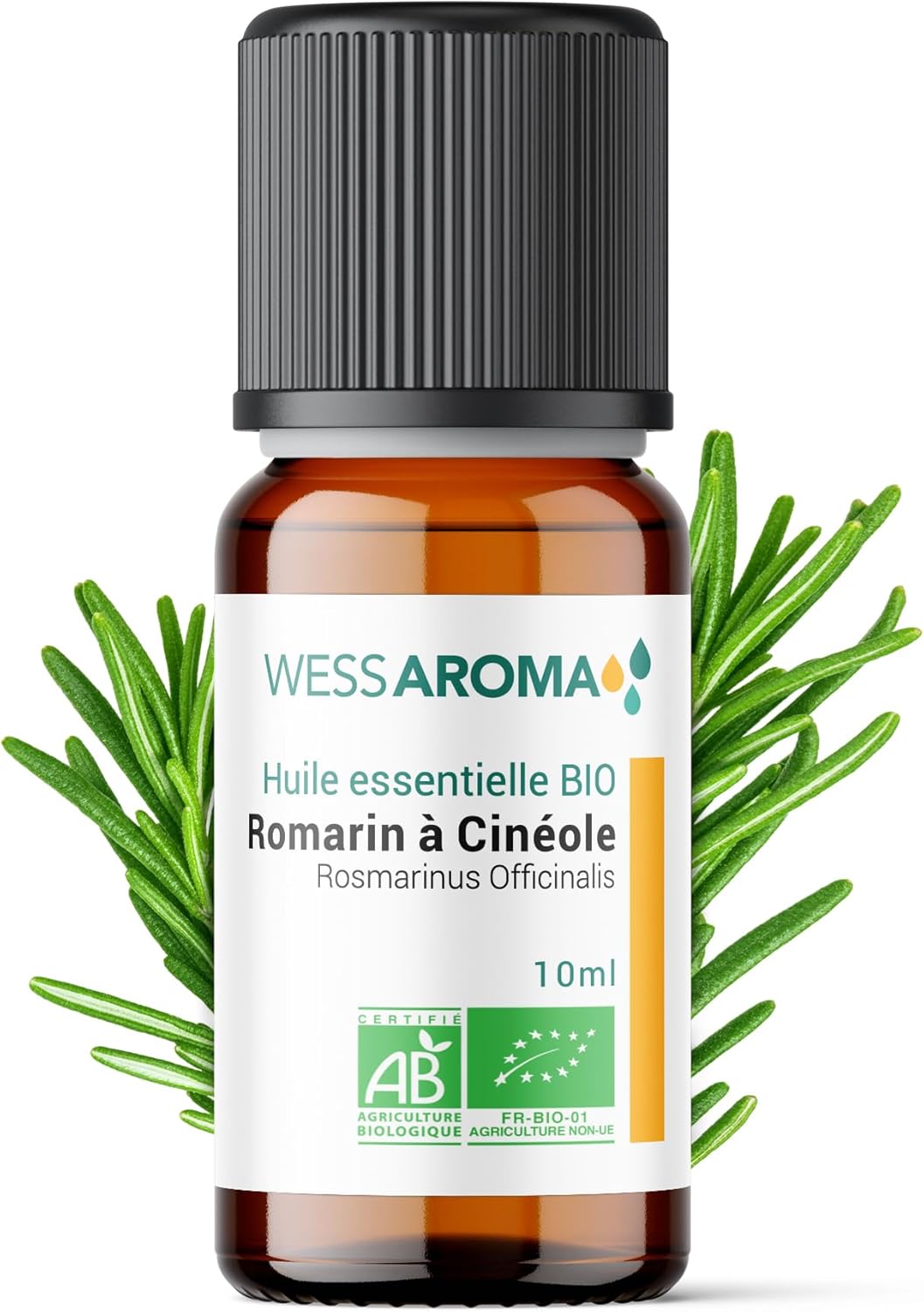Huile Essentielle BIO de Romarin à Cinéole 10ML - Certifiée AB - 100% Pure & Naturelle, Chémotypée HEBBD - Pratiques agricoles durables - Analysée et conditionnée en France Romarin à Cinéole 10 ml (Lot de 1)