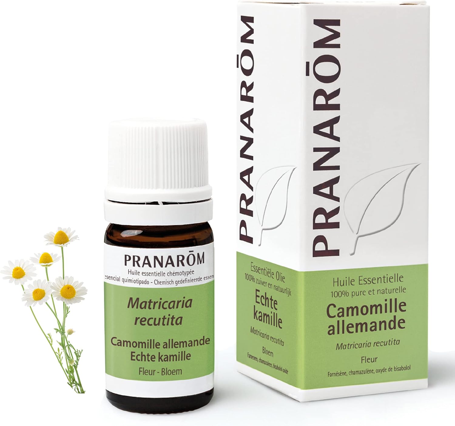 Huile Essentielle Camomille Allemande - Matricaria recutita - Fleur - HECT - 5 ml