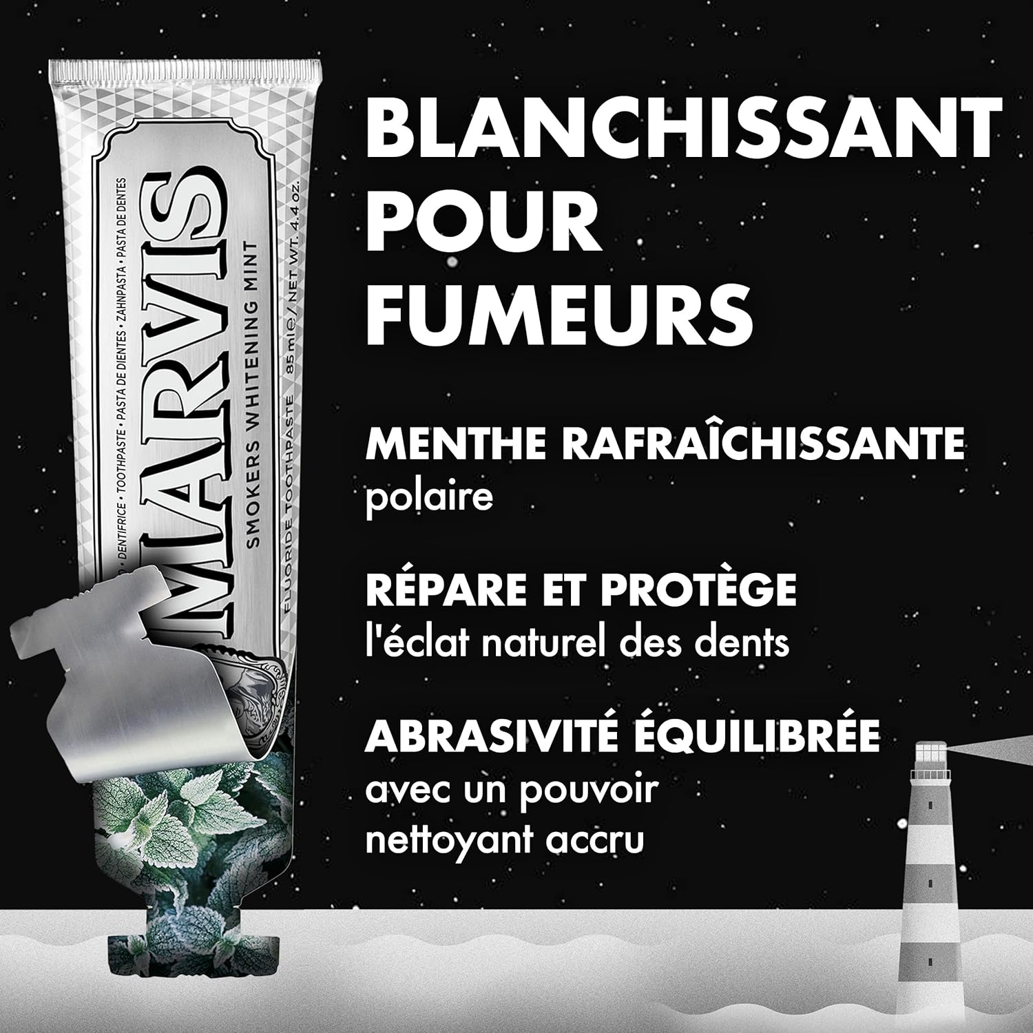 Dentifrice blanchissant pour fumeurs, Menthe, 85 ml, Favorise le blanchiment naturel des dents, Dentifrice anti-plaque & fraîcheur longue durée Menthe 85 ml (Lot de 1)