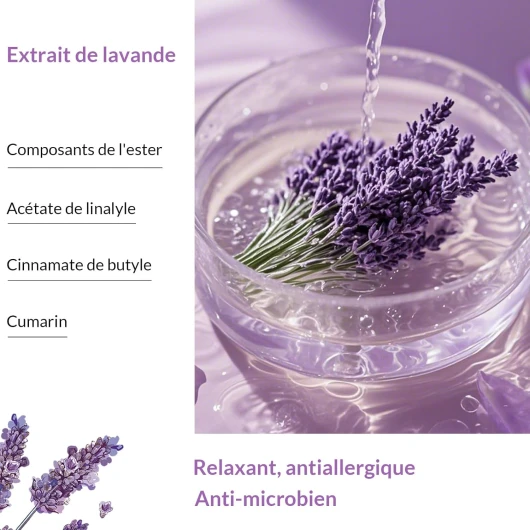 71 domlMEoL._AC_SL1500_