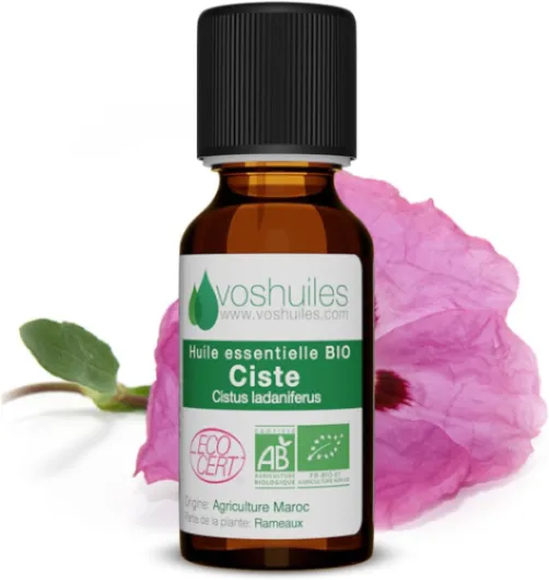 Voshuiles - Huile Essentielle Ciste Ladanifère Bio 5ml - Parfum Frais - Diluer avec Huile Végétale - Soin Peau - Huiles Essentielles de Qualité - 100% Pure et Naturelle - HEBBD et Certifiée ECOCERT Ciste Ladanifère BIO 5 ml (Lot de 1)