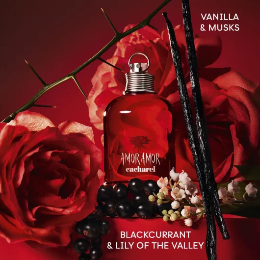 71Ux5dWbimL._AC_SL1500_