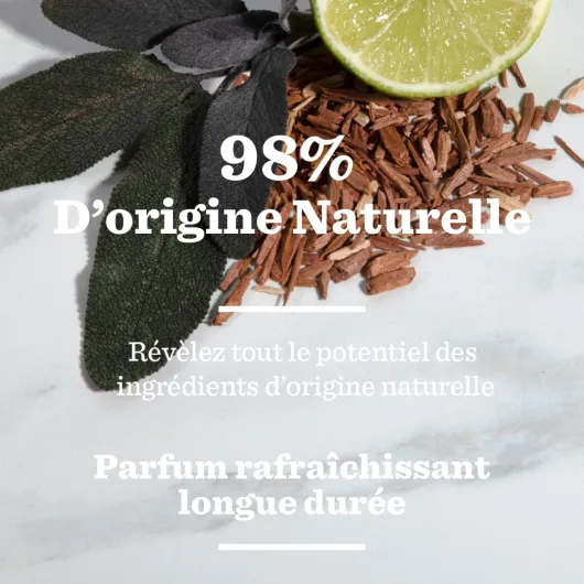 61zITW8U7SL._AC_SL1080_