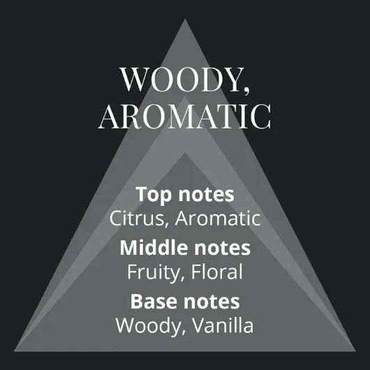 61Iw4wcmCzL._AC_SL1500_