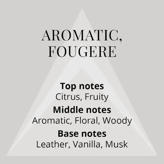 619iHIOMHDL._AC_SL1500_