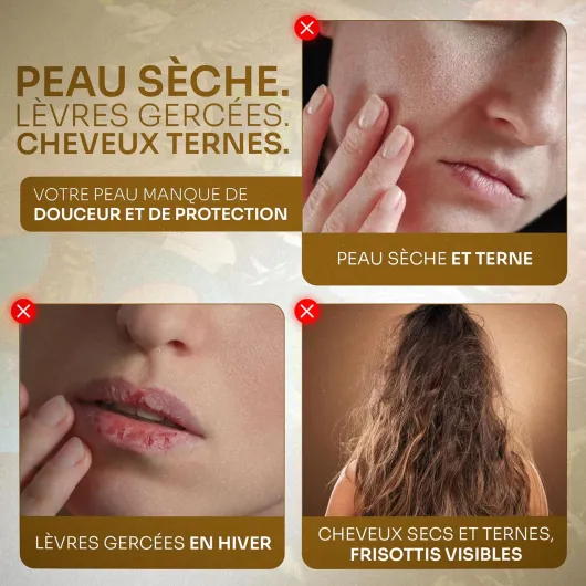 81oq7GvaHNL._AC_SL1500_