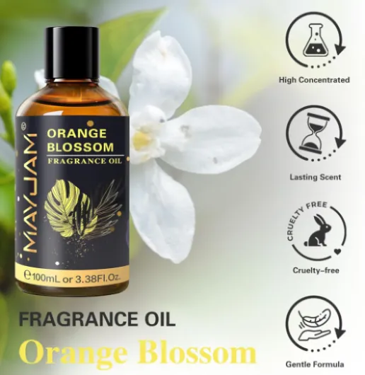 71HJL5NclNL._AC_SL1500_