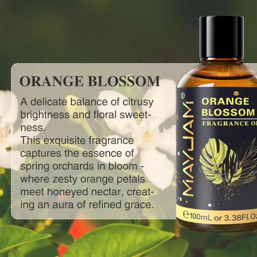 71H2R1YBwYL._AC_SL1500_