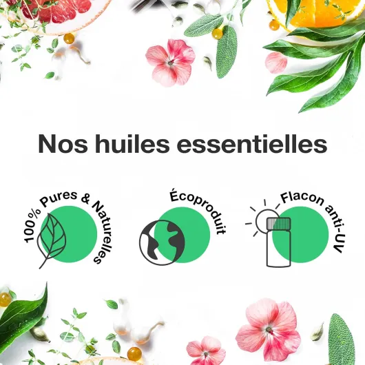 81zxecOGD8L._AC_SL1500_