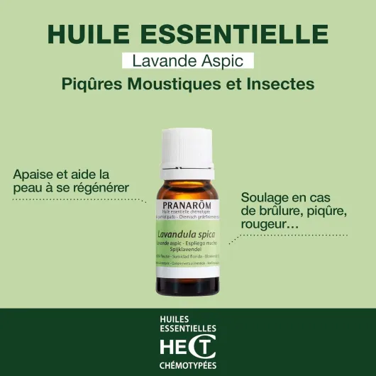 61jGEFTnZFL._AC_SL1500_