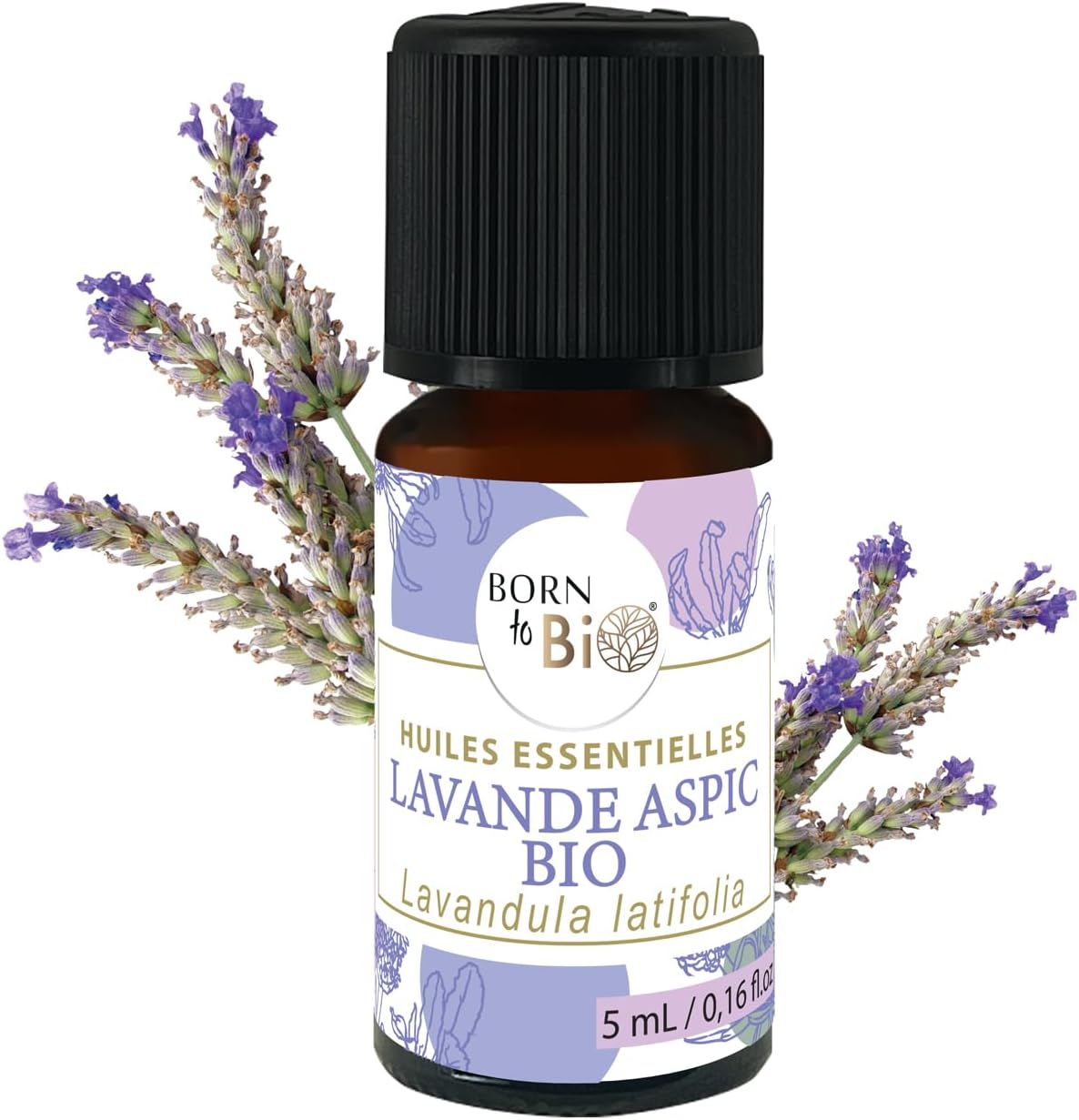 Huile Essentielle de Lavande Aspic Bio - 100% Pure & Naturelle - Soin Réparateur pour Peau & Muscles - Certifiée AB - 5ml Lavande aspic 5 ml (Lot de 1)