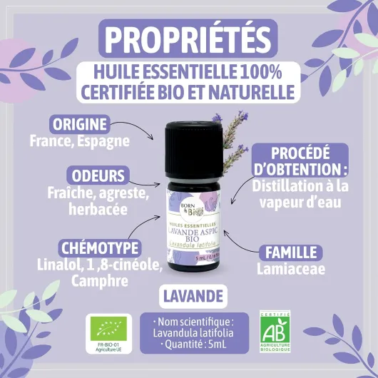 71yQjVTslJL._AC_SL1500_