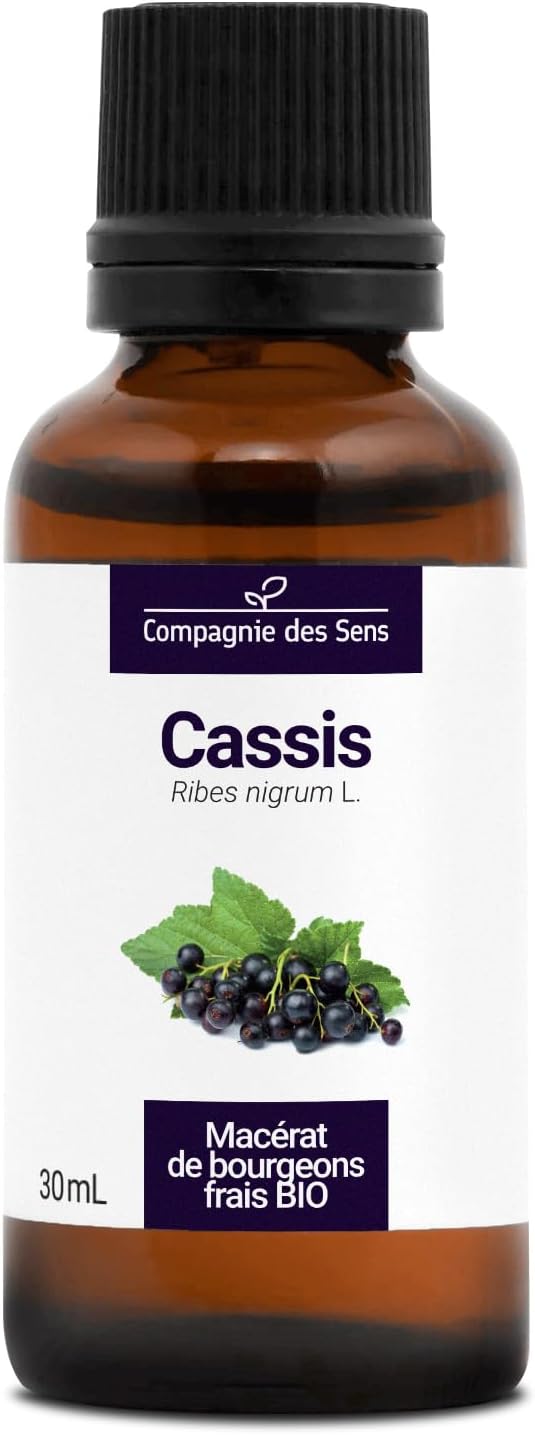 Cassis BIO - 30mL - (Ribes Nigrum) – Macérat concentré de bourgeons frais 30 ml (Lot de 1)