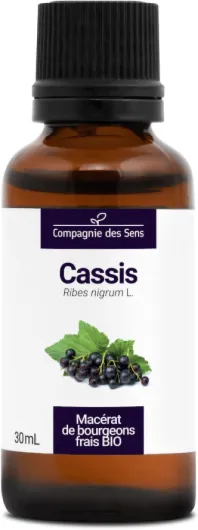 Cassis BIO - 30mL - (Ribes Nigrum) – Macérat concentré de bourgeons frais 30 ml (Lot de 1)