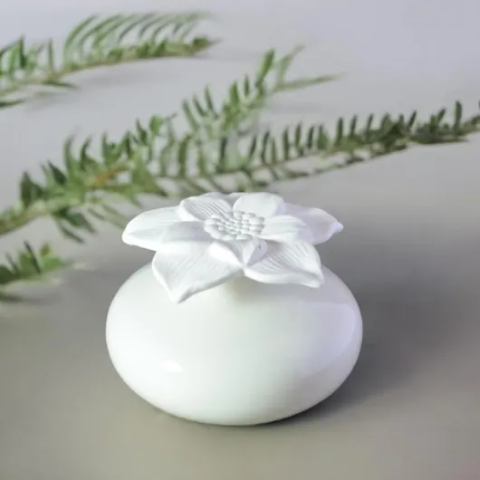 61u-Fjb43 L._AC_SL1500_