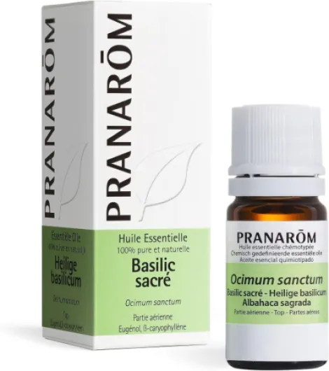 Huile Essentielle Basilic Sacré- Ocimum sanctum -Feuille - HECT - 5 ml Basilic 5ml