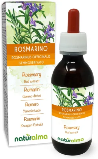 Romarin (Rosmarinus officinalis) Gemmo-dérivé sans alcool à base de bourgeons frais Naturalma - Extrait liquide gouttes 120 ml - Complément alimentaire - Végétalien ou végan Sans alcool 120 ml (Lot de 1)