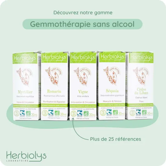 61sjH8pcksL._AC_SL1500_