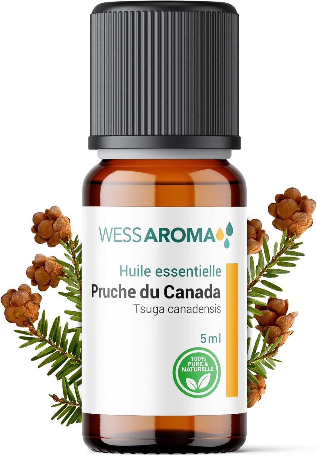 Huile Essentielle de Pruche du Canada (Tsuga) 5ML - Bien-être & Diffusion - 100% Pure, Naturelle et Intégrale - Chémotypée HEBBD - Analysée et conditionnée en France Pruche du Canada 5 ml (Lot de 1)