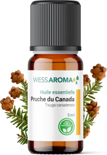 Huile Essentielle de Pruche du Canada (Tsuga) 5ML - Bien-être & Diffusion - 100% Pure, Naturelle et Intégrale - Chémotypée HEBBD - Analysée et conditionnée en France Pruche du Canada 5 ml (Lot de 1)