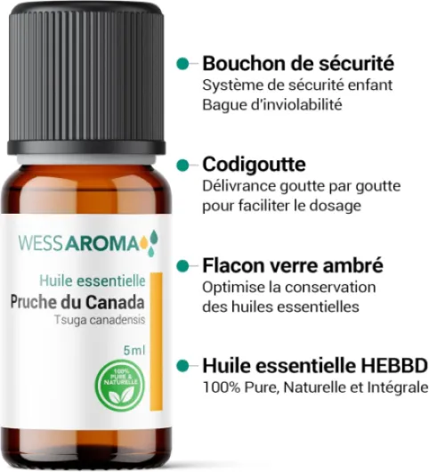 71miZ7lJ5EL._AC_SL1500_