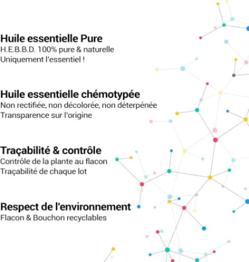 71Pjj We-dL._AC_SL1500_