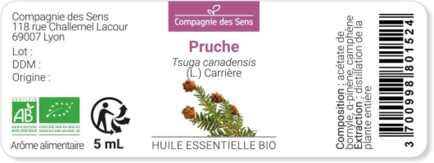 61bW7MaATAL._AC_SL1500_