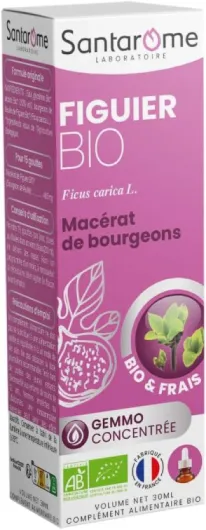 Figuier Bio - Macérat de bourgeons - Bourgeon de Figuier Bio - Bourgeon Frais - Gémmothérapie - Complément alimentaire anti stress - Flacon de 30 ml - France