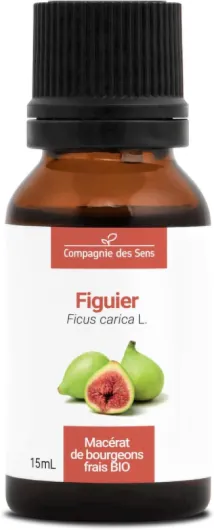 Figuier BIO - 15mL - (Ficus Carica) – Macérat concentré de bourgeons frais