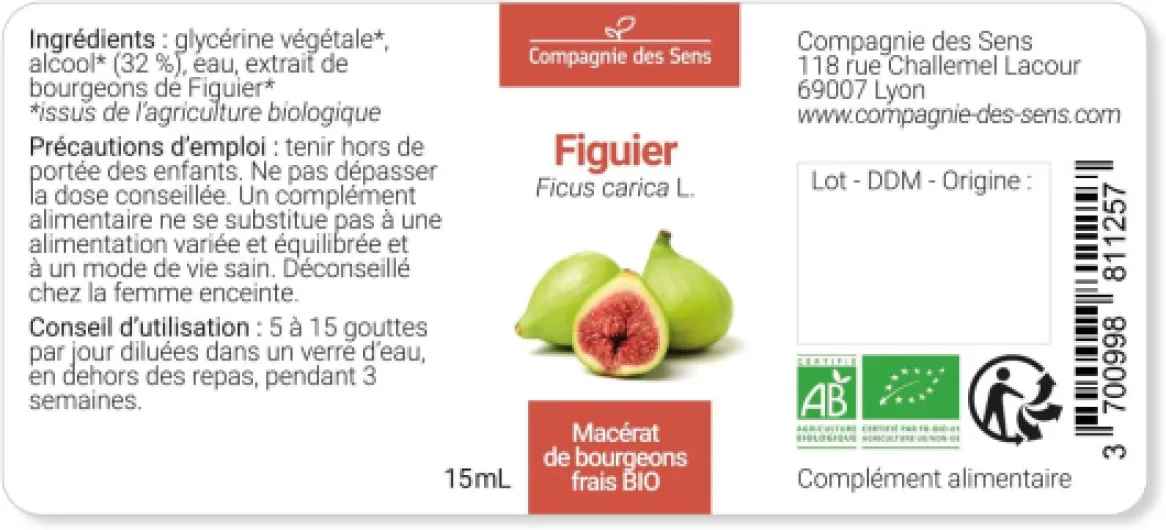 61PgtCJx6gL._AC_SL1500_