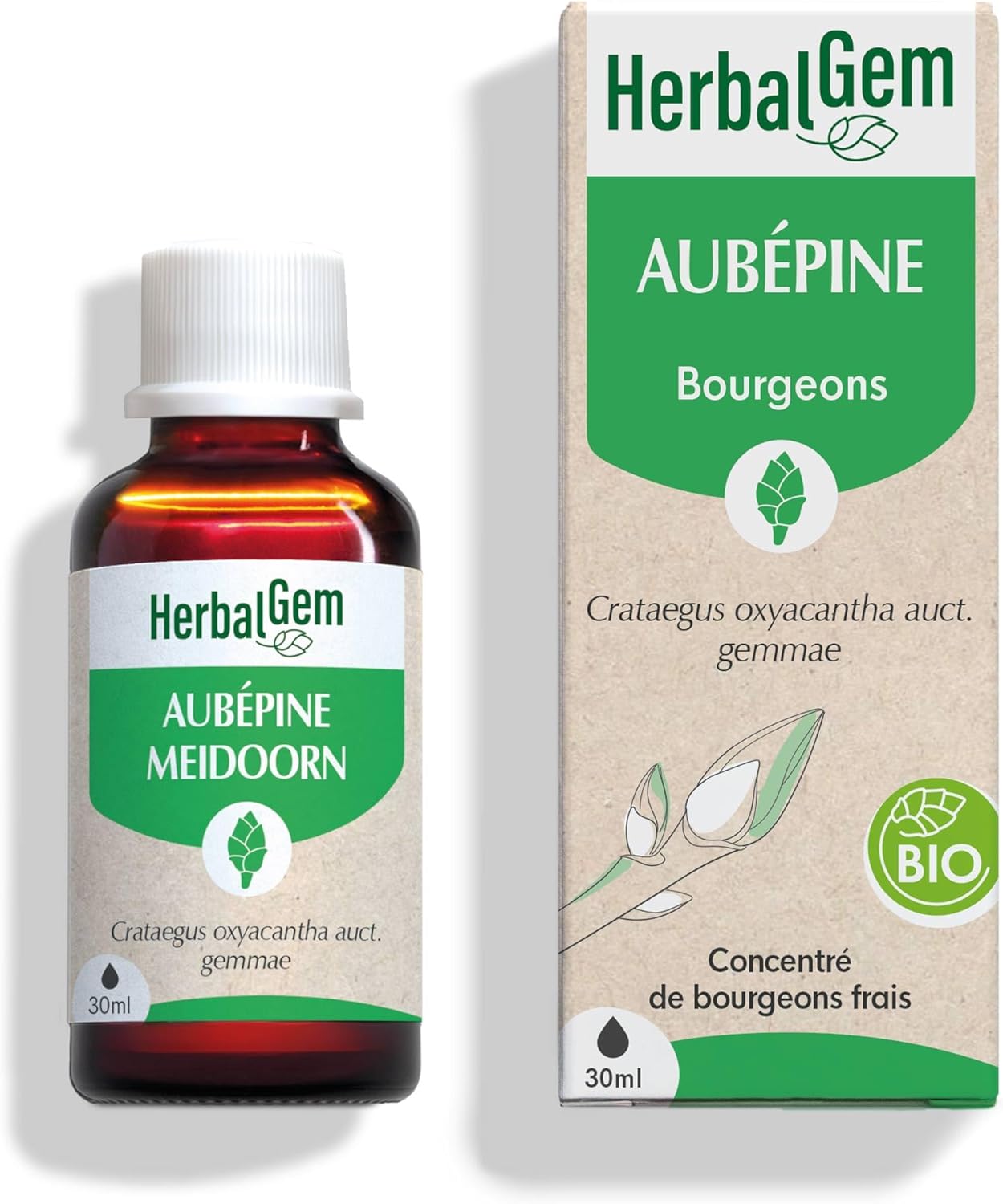 Macérât-Mère - Aubépine Bio - Complément Alimentaire Gemmothérapie Concentrée - Extrait De Bourgeon Frais - Pour Circulation Sanguine - 30 ml Gouttes