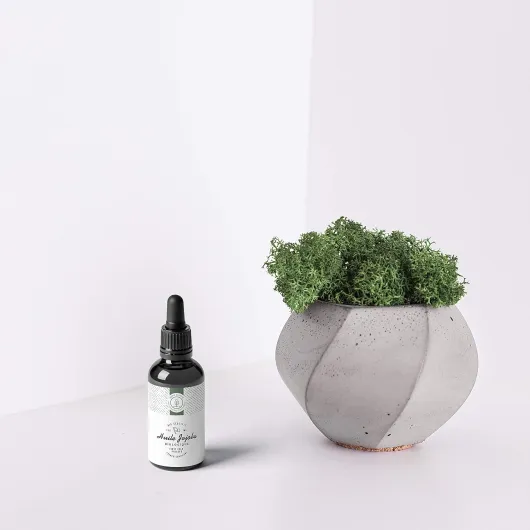 81VP57GFtaL._AC_SL1500_