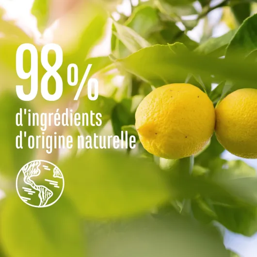 715Wfgytd-L._AC_SL1500_