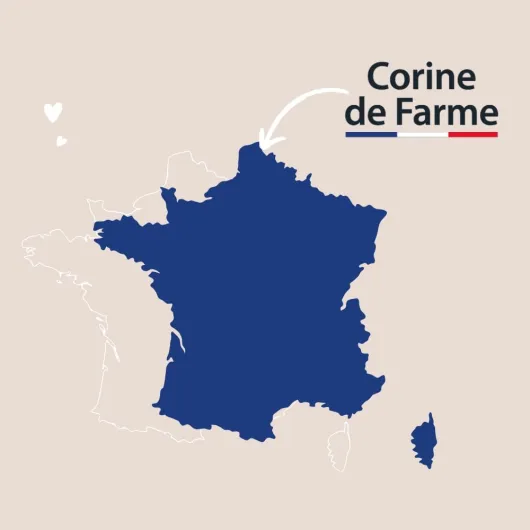 41EQlWAI70L._AC_SL1000_