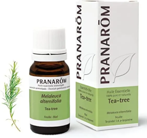 PRANARÔM - Tea Tree - Huile Essentielle Chémotypée - Défenses Naturelles - 100% Pure Et Naturelle - HECT - 10 ml 10 ml (Lot de 1)
