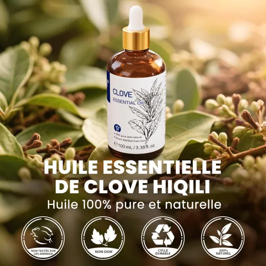 71wbLw4OJ5L._AC_SL1500_