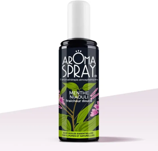 51c-MyKzI9S._AC_SL1000_