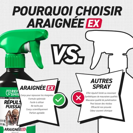 91kNs83PddL._AC_SL1500_