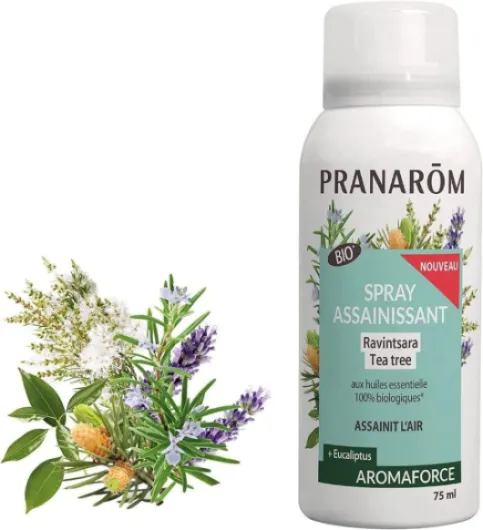 PRANARÔM - Aromaforce - Spray Assainissant Aux Huiles Essentielles Bio - Ravintsara Et Tea Tree - Assainit Et Purifie L'Air - 75 ml Tea Tree & Ravintsara 75 ml (Lot de 1)