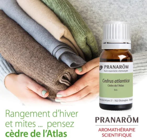 71HVzdcAPpL._AC_SL1080_