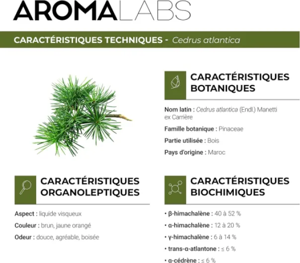 81YBSkdHkCL._AC_SL1500_