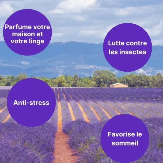 61hwZs4MKKL._AC_SL1080_