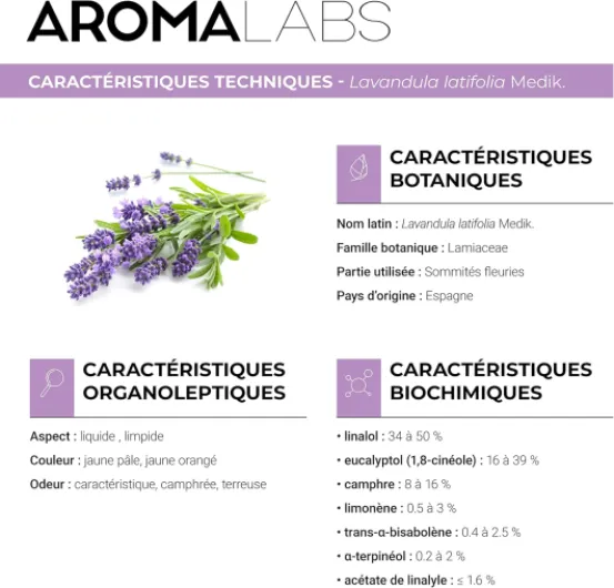 81p3ecm9asL._AC_SL1500_