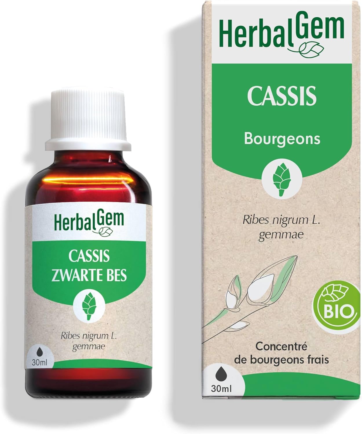 Macérât-Mère - Cassis Bio - Complément Alimentaire Gemmothérapie Concentrée - Extrait De Bourgeon Frais - Pour Articulations, Muscles - Vegan - 30 ml