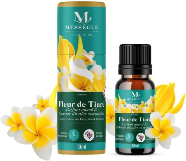 61xCfVIWXGL._AC_SL1000_