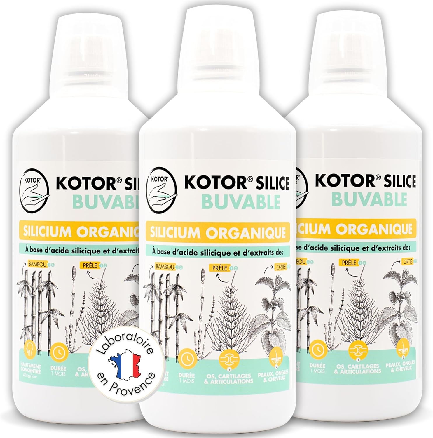 KOTOR SILICE BUVABLE 1L - Lot de 3 - Silicium Organique Francais & Naturel - Santé des Articulations, Cartilages, Os, Peau, Cheveux, Ongles - Silicium + Ortie + Prêle + Bambou - 3 mois