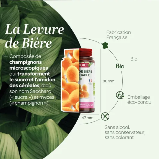 81He3JUMywL._AC_SL1500_