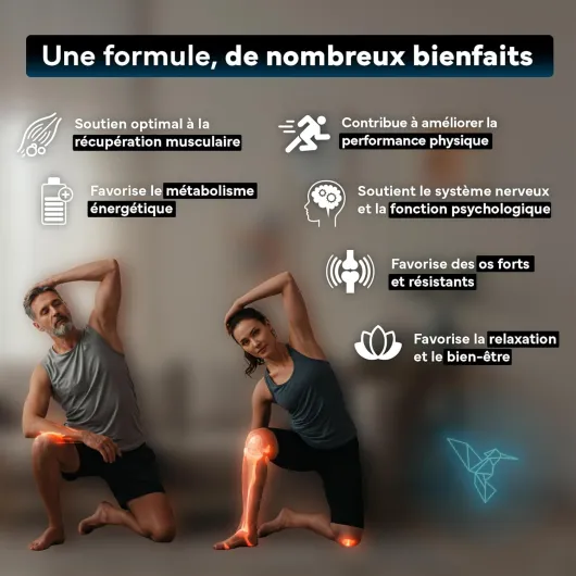 71K95sEFg3L._AC_SL1500_